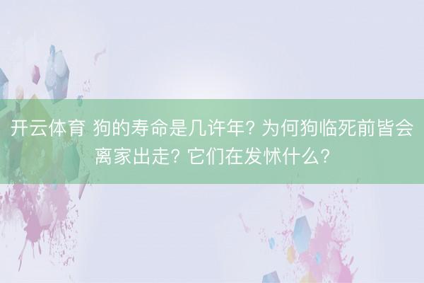 開云體育 狗的壽命是幾許年? 為何狗臨死前皆會離家出走? 它們在發(fā)怵什么?