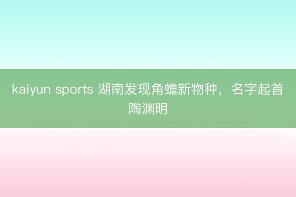 kaiyun sports 湖南發現角蟾新物種,名字起首陶淵明