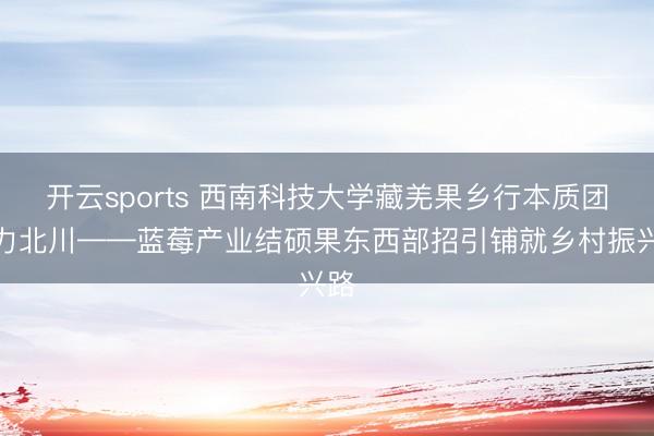 開云sports 西南科技大學藏羌果鄉行本質團助力北川——藍莓產業結碩果東西部招引鋪就鄉村振興路