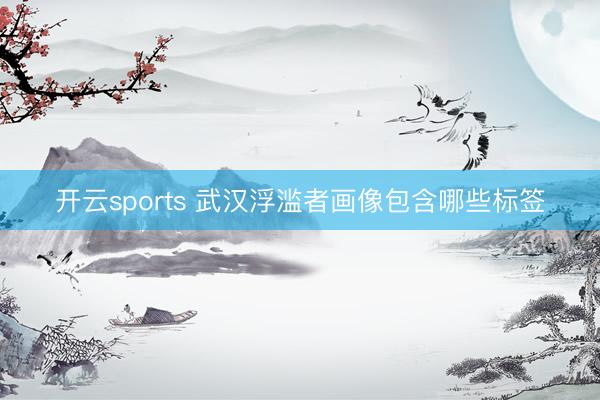 開云sports 武漢浮濫者畫像包含哪些標簽